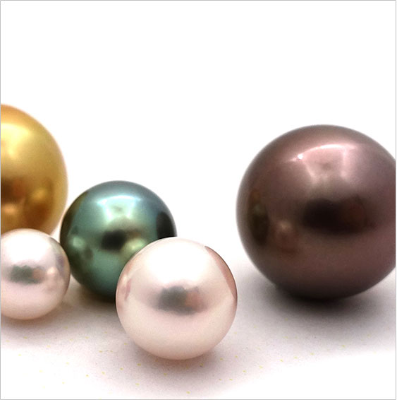 真珠の種類 産地 色 形による違いや特徴 東京真珠卸事業