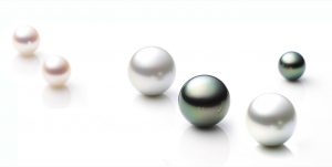 真珠の種類 産地・色・形による違いや特徴